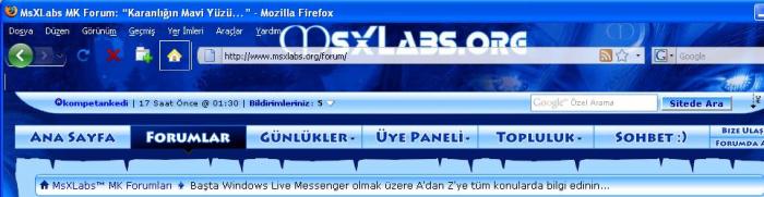 Al�nt�daki Ek 20780