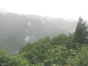 Ad:  RainySmokies.jpg
Gsterim: 580
Boyut:  17.0 KB