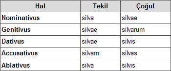 Ad: silva.png
Gösterim: 1375
Boyut: 4.5 KB