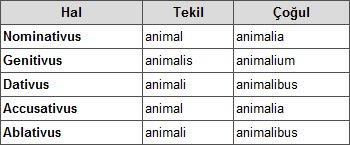 Ad: animal.png
Gösterim: 1343
Boyut: 4.7 KB