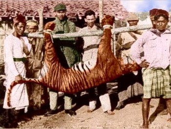 Ad: Balicolor.jpg
Gösterim: 1813
Boyut: 39.6 KB