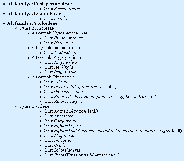 Ad: violaceae.png
Gösterim: 127
Boyut: 19.6 KB Ad: violaceae.png
Gösterim: 127
Boyut: 19.6 KB
