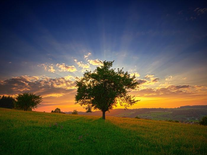 Ad:  tree-sunset-1024-768-5746.jpg
Gsterim: 188
Boyut:  45.7 KB