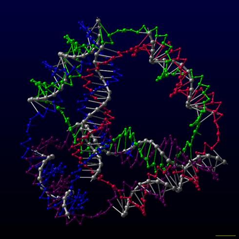Ad:  DNA_tetrahedron.jpg
Gsterim: 411
Boyut:  32.2 KB