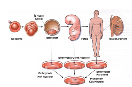 Ad:  khtek01.jpg
Gsterim: 19478
Boyut:  35.3 KB