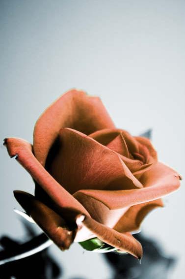 Ad:  Remain.jpg
Gsterim: 369
Boyut:  20.6 KB