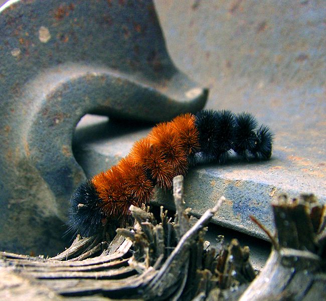 Ad: 650px-Places_to_Go_by_SillyPuttyEnemies.jpg
Gösterim: 642
Boyut: 81.9 KB