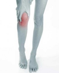 Ad:  meniskus_big-203x250.jpg
Gsterim: 1432
Boyut:  6.6 KB