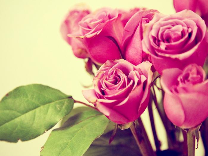 Ad:  retro-pink-roses-1024-768-6338.jpg
Gsterim: 145
Boyut:  44.3 KB