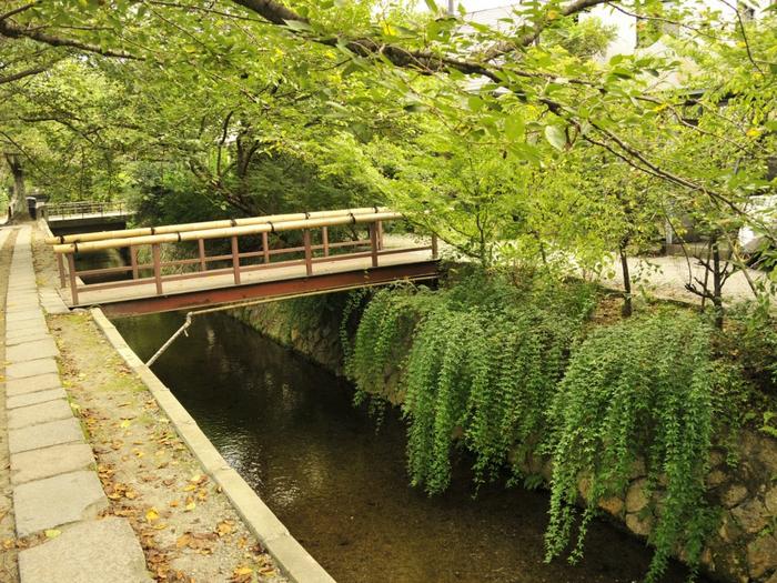 Ad:  mini-water-channel-1024-768-6331.jpg
Gsterim: 247
Boyut:  103.8 KB