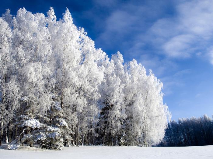 Ad:  the-beauty-of-winter-1024-768-6335.jpg
Gsterim: 256
Boyut:  72.3 KB