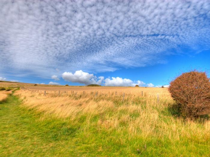 Ad:  Wind-wind-nature-1024x768.jpg
Gsterim: 262
Boyut:  59.9 KB