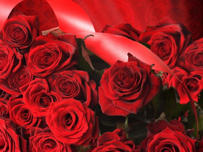 Ad:  the-flowers-of-love-1024-768-6402.jpg
Gsterim: 190
Boyut:  56.5 KB