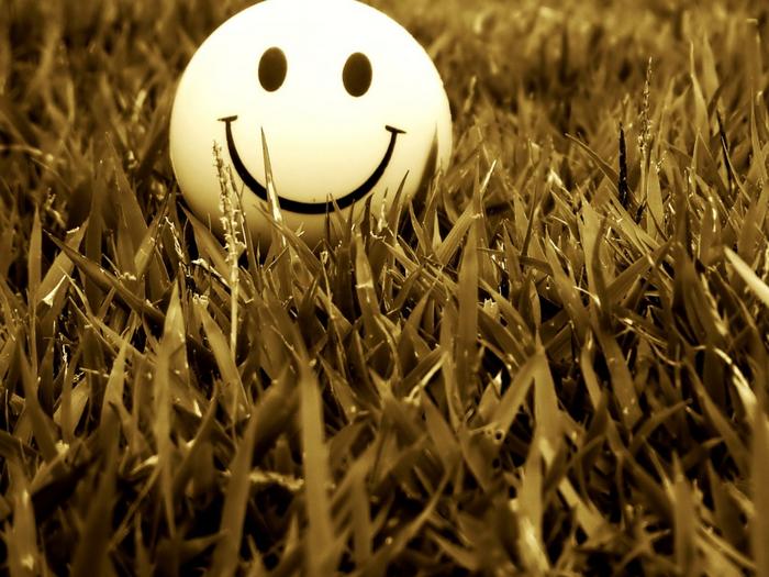 Ad:  the-smile-from-the-grass-1024-768-6413.jpg
Gsterim: 296
Boyut:  65.5 KB