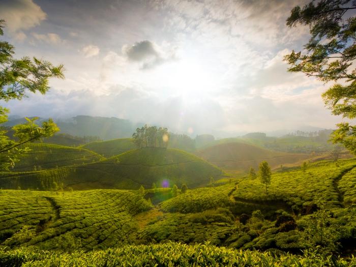 Ad:  the-hills-of-munnar-1024-768-6580.jpg
Gsterim: 536
Boyut:  62.0 KB