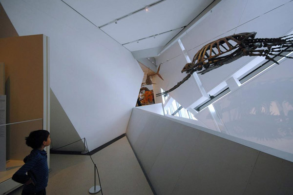 Ad: 1327.jpg
Gösterim: 760
Boyut: 44.5 KB