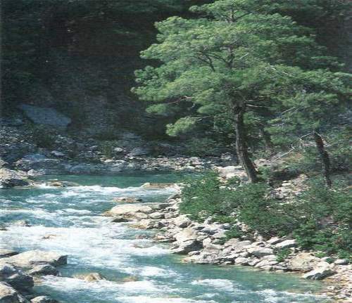 Ad:  imag004.jpg
Gsterim: 1142
Boyut:  43.7 KB