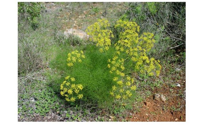 Ad:  Adsz.jpg
Gsterim: 509
Boyut:  86.3 KB