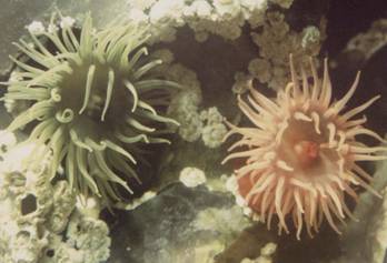 Ad: image008.jpg
Gösterim: 1623
Boyut: 14.9 KB