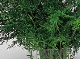 Ad:  images.jpg
Gsterim: 721
Boyut:  16.2 KB