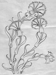 Ad: image011.jpg
Gösterim: 301
Boyut: 11.2 KB