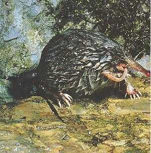 Ad: Desman 1.jpg
Gösterim: 205
Boyut: 29.2 KB