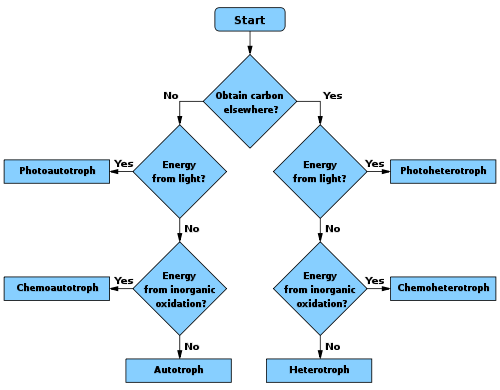 Ad:  500px-Troph_flowchart.svg.png
Gsterim: 2121
Boyut:  25.8 KB
