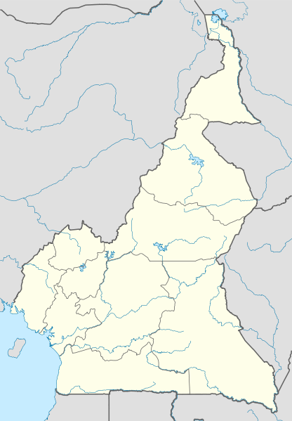 Ad:  416px-Cameroon_location_map.svg.png
Gsterim: 150
Boyut:  84.7 KB