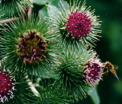 Ad: 576112fb87993f5634dd393f2e047150_1277398484.jpg
Gösterim: 667
Boyut: 56.3 KB