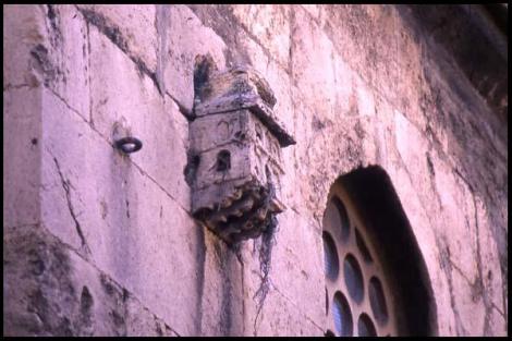 Ad:  feyzyullah.jpg
Gsterim: 238
Boyut:  31.6 KB