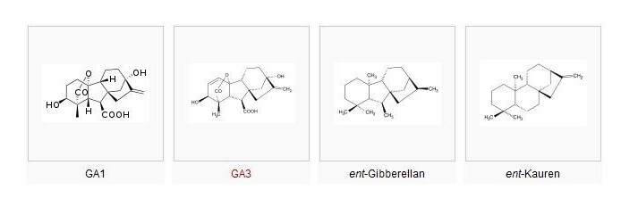 Ad: dd.jpg
Gösterim: 684
Boyut: 29.0 KB