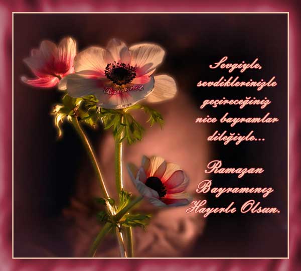 Ad:  bayram10083rn8.jpg
Gsterim: 213
Boyut:  31.1 KB