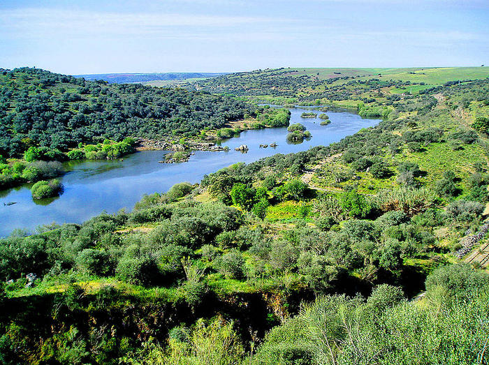 Ad:  800px-Guadiana_river.jpg
G�sterim: 240
Boyut:  171.1 KB
