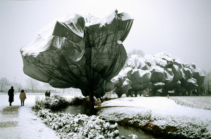 Ad: Wrapped_trees.jpg
Gösterim: 1205
Boyut: 64.7 KB Ad: Wrapped_trees.jpg
Gösterim: 1205
Boyut: 64.7 KB