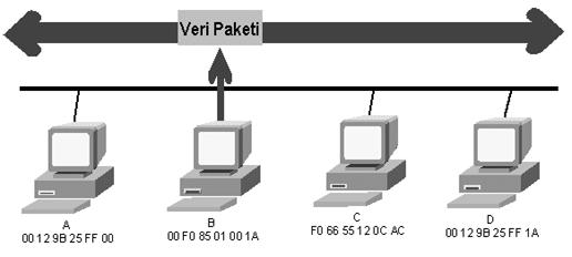 Ad: ethernet017.jpg
Gösterim: 383
Boyut: 14.2 KB Ad: ethernet017.jpg
Gösterim: 383
Boyut: 14.2 KB