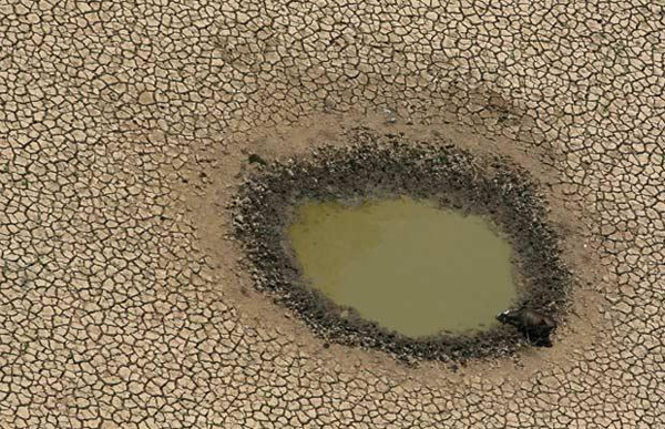 Ad: Kuresel_isinma_2.jpg
Gösterim: 751
Boyut: 141.0 KB