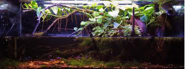 Ad: kök12.png
Gösterim: 2352
Boyut: 98.0 KB Ad: kök12.png
Gösterim: 2352
Boyut: 98.0 KB