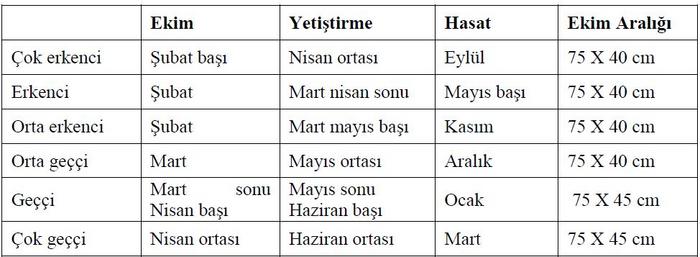Ad:  Brksel LAhanas4.jpg
Gsterim: 1613
Boyut:  35.7 KB