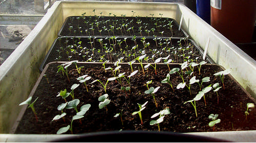 Ad:  Brksel LAhanas6.png
Gsterim: 1514
Boyut:  307.0 KB