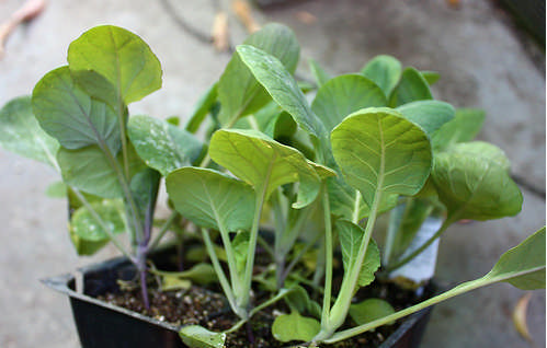 Ad:  Brksel LAhanas7.png
Gsterim: 1760
Boyut:  269.1 KB