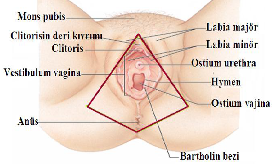 Ad:  reme.png
Gsterim: 10284
Boyut:  281.6 KB