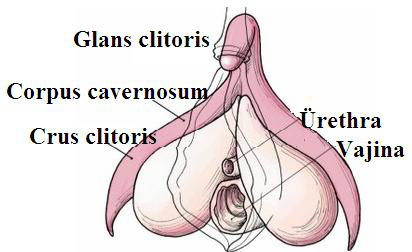 Ad:  reme1.png
Gsterim: 5295
Boyut:  107.5 KB