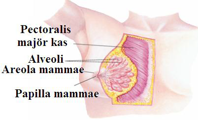 Ad:  reme8.png
Gsterim: 4202
Boyut:  110.5 KB