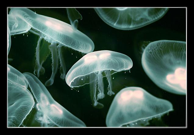 Ad: vlide.JPG
Gösterim: 467
Boyut: 51.3 KB