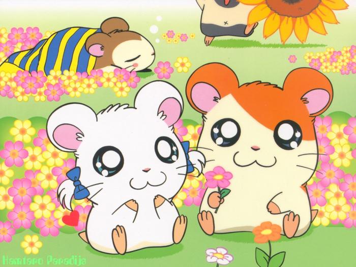 Ad: Hamtaro_wallpaper.jpg
Gösterim: 327
Boyut: 58.6 KB