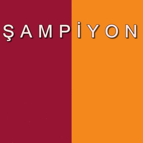 Al�nt�daki Ek 30743