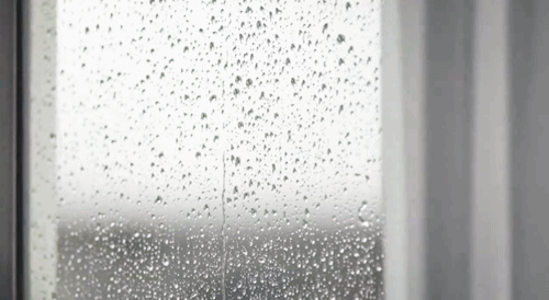 Ad:  tumblr_msht19p4wp1rp04p3o1_500.gif
G�sterim: 469
Boyut:  984.3 KB