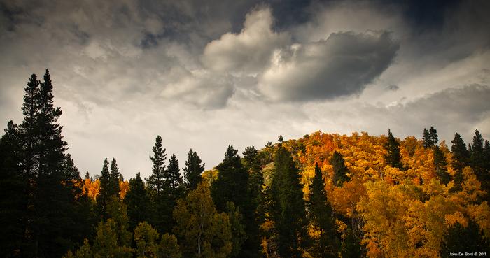 Ad: ağaçlar benim sevgimdir.jpg
Gösterim: 396
Boyut: 42.8 KB