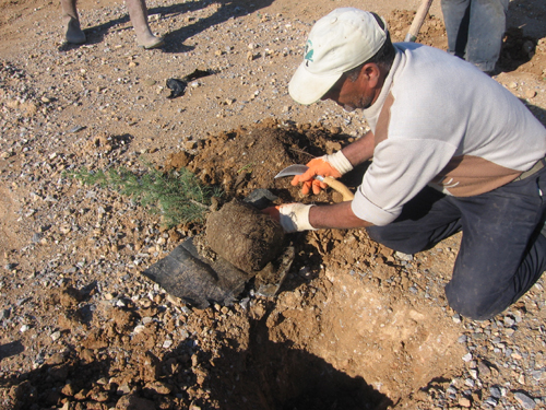 Ad: Fidan_Dikimi%20(2).jpg
Gösterim: 986
Boyut: 272.5 KB Ad: Fidan_Dikimi%20(2).jpg
Gösterim: 986
Boyut: 272.5 KB