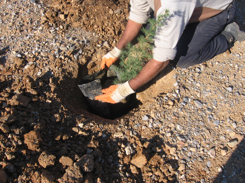 Ad: Fidan_Dikimi%20(3).jpg
Gösterim: 1025
Boyut: 291.8 KB Ad: Fidan_Dikimi%20(3).jpg
Gösterim: 1025
Boyut: 291.8 KB